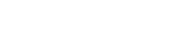 FERRINI